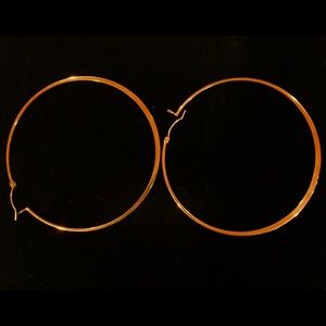 Gold hoop earrings with hinged back